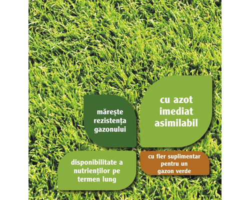 Informationen zu Rasenpflegeprodukten: Erhöhte Widerstandsfähigkeit, sofort verfügbarer Stickstoff, langfristige Nährstoffverfügbarkeit und zusätzliches Eisen für grünen Rasen.