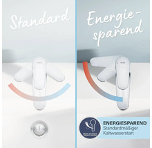 Vergleich von Standard- und energiesparender Armatur mit Kaltwasserstart