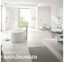 Helles Badezimmer mit Badewanne, Dusche, Waschbecken, Toilette und Bidet.