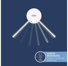 "Grohe Logo