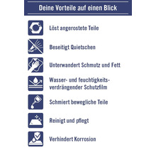 Übersicht der Produktvorteile: Löst verrostete Teile, beseitigt Quietschen, unterwandert Schmutz und Fett, wasserabweisender Schutzfilm, schmiert bewegliche Teile, reinigt und pflegt, verhindert Korrosion.