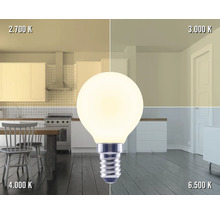 Vergleich verschiedener Farbtemperaturen mit einer LED Lampe in Wohnräumen