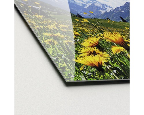 Nahaufnahme einer Acrylglasplatte mit einem Landschaftsmotiv, das eine Blumenwiese und Berge zeigt.