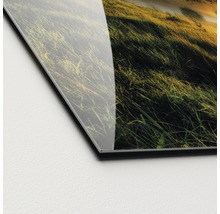 Detailaufnahme eines Landschaftsbildes hinter Acrylglas