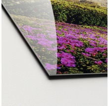Glasbild Alpenrosen I 20x20 cm-thumb-1