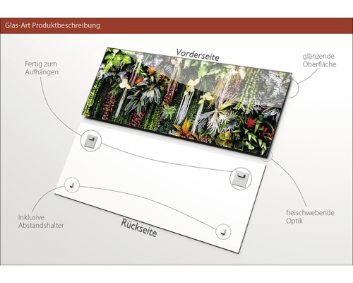 Glasbild mit Pflanzenmotiv, inklusive Abstandshalter und glänzender Oberfläche, fertig zum Aufhängen