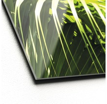 Nahaufnahme eines Acrylglasbildes mit einem Palmenmotiv.