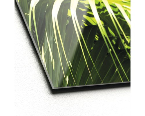 Nahaufnahme eines Acrylglasbildes mit einem Palmenmotiv.