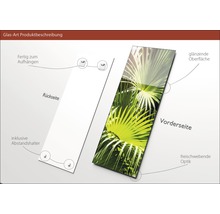 Glasbild mit Palmenmotiv, inklusive Abstandshalter, zum Aufhängen bereit
