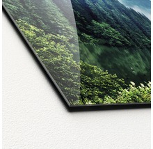 Nahaufnahme einer Acrylglasbild Detailansicht mit Waldmotiv.