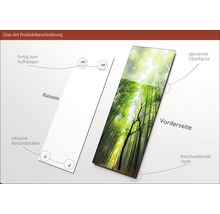 Glasbild mit Bambuswald Motiv, inklusive Wandhalterung