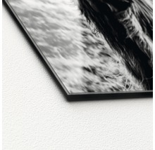 Detailansicht einer Glasbildplatte mit Tiermotiv