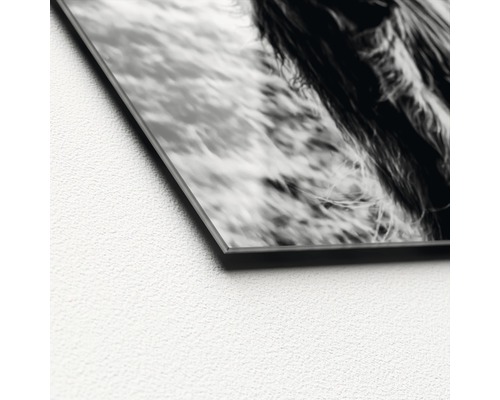 Detailansicht einer Glasbildplatte mit Tiermotiv