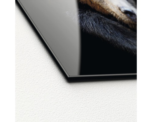 Detailansicht einer Glasbild Ecke