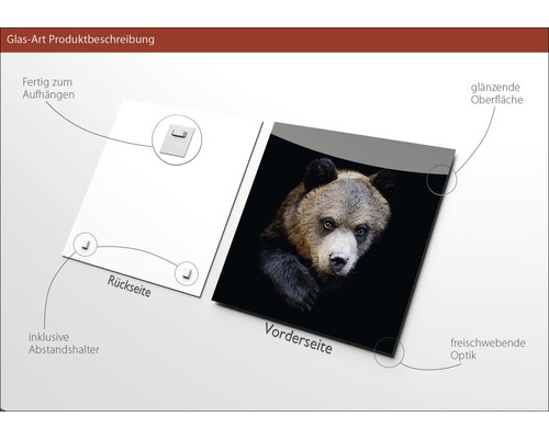 Produktbeschreibung Glasbild: Vorderseite mit Bärenmotiv, Rückseite mit Aufhängung und Abstandshalter.