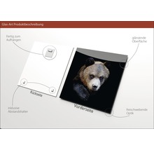 Glasbild Brown bear 20x20 cm-thumb-2 Glasbild Brown bear 20x20 cm-thumb-2