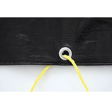 Plane mit Öse und Seil