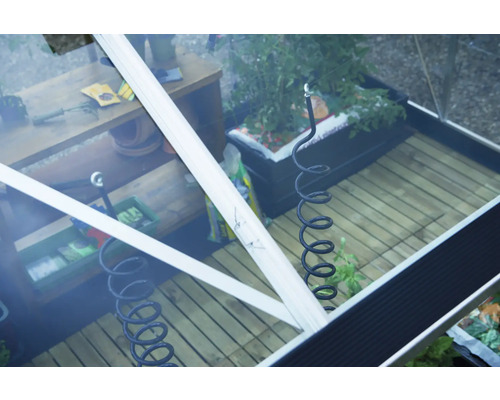 Ansicht in ein Gewächshaus mit Pflanzen und Gartengeräten