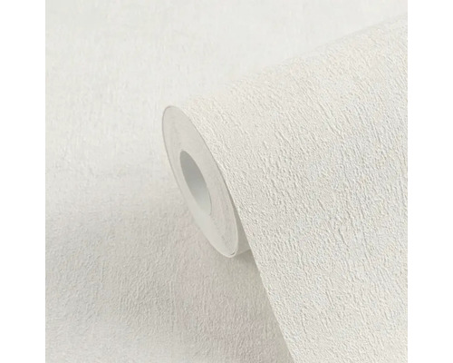 Rolle Raufasertapete