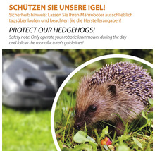 Information zur Sicherheit von Igeln bei der Verwendung von Rasenmährobotern