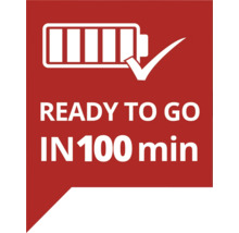 Symbol für einsatzbereit in 100 Minuten