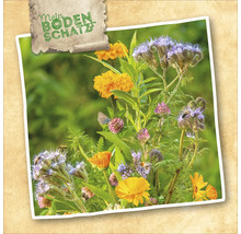 Illustration von einer Mischung aus Ringelblumen, Phacelia und Klee, die Bienen und Schmetterlinge anzieht, mit dem Schriftzug Mein Bodenschatz