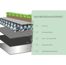 Dachbegrünungspaket mit Filtervlies, Drainageelement, Trenn- und Schutzmatte, Wurzelschutzfolie und selbstklebender Dachfolie.