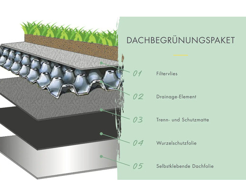 Dachbegrünungspaket mit Filtervlies, Drainageelement, Trenn- und Schutzmatte, Wurzelschutzfolie und selbstklebender Dachfolie.
