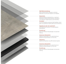 Schichtaufbau einer Platte mit Oberflächenveredelung, Deckschicht, Grundlack, Digitaldruck, Grundierung und Aluminium Deckschicht