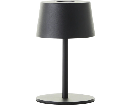 Tischleuchte mit Lampenschirm