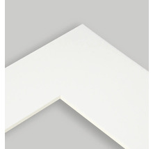 Ausschnitt eines Passepartouts