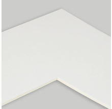 Detailansicht einer weißen Fußleiste