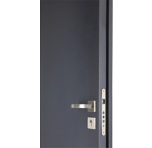 Nahaufnahme einer grauen Tür mit silbernem Türgriff und Schloss