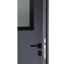 Detailansicht einer Tür mit Fenster, Griff und Schloss