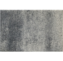 Rechteckiger Pflasterstein