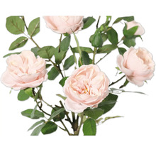 Strauß mit zarten Rosenblüten und grünen Blättern