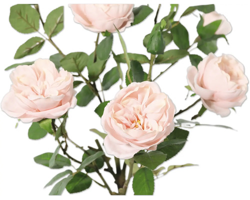 Strauß mit zarten Rosenblüten und grünen Blättern