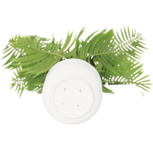 Pflanztopf aus Kunststoff mit Farnwedeln