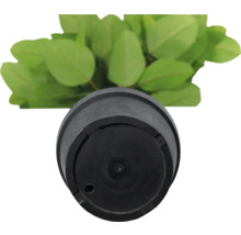 Kunstpflanze im schwarzen Pflanztopf