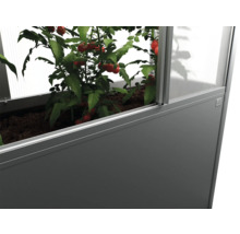 Hochbeet mit Tomatenpflanzen im Gewächshaus