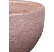 Nahaufnahme eines Pflanzgefäßes mit rauer Oberfläche