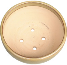 Runde Pflanzschale mit Entwässerungslöchern