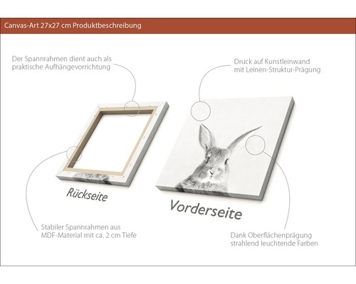 Leinwandbild 27x27 cm mit Hasenmotiv, Rückseite mit MDF Rahmen