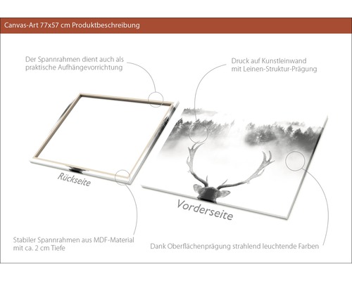 Canvasbild 77x57 Zentimeter mit Waldmotiv und Hirsch, Keilrahmen aus MDF