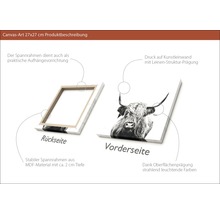 27x27 cm großes Leinwandbild mit MDF Rahmen zur Produktbeschreibung