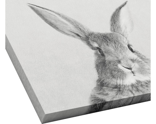 Nahaufnahme eines Wandbildes mit Hasenmotiv