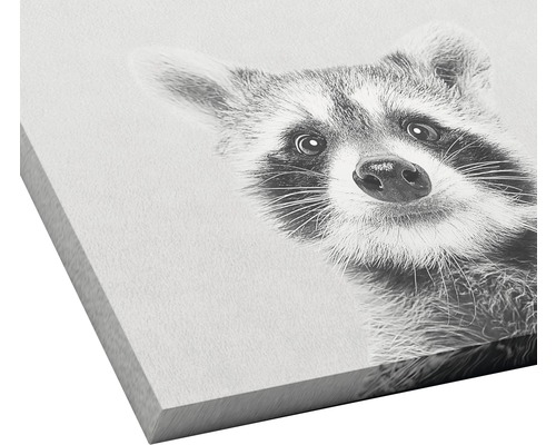 Nahaufnahme eines Waschbärenporträts auf einer Leinwand