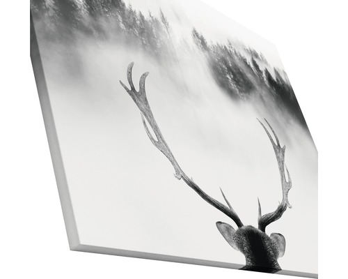 Schwarzweiß-Leinwanddruck mit Geweih vor Wald