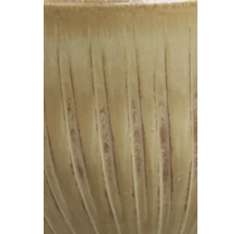Detailaufnahme einer Pflanzschale mit Rillenmuster