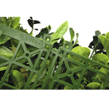 Detailaufnahme von künstlichen Buchsbaumhecken-Paneelen, die miteinander verbunden sind